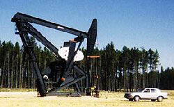 Giant Oil Pump