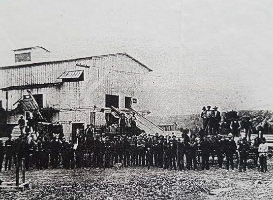 Eau Claire and Bow River Lumber Mill and workers