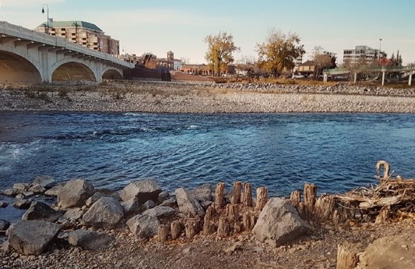 Pylons in Bow River from 1888 Bow Marsh Bridge